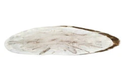 Ambrosia Maple Ovals -Tools Wood Shop ambrosia maple oval 2