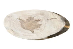 Ambrosia Maple Ovals -Tools Wood Shop ambrosia maple oval