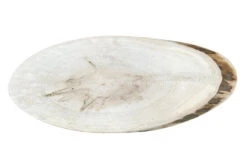 Ambrosia Maple Ovals -Tools Wood Shop ambrosia maple oval 3