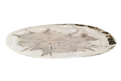 Ambrosia Maple Ovals -Tools Wood Shop ambrosia maple oval 4