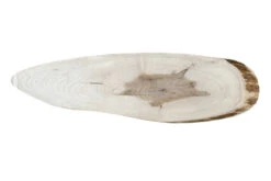 Ambrosia Maple Ovals -Tools Wood Shop ambrosia maple oval 5