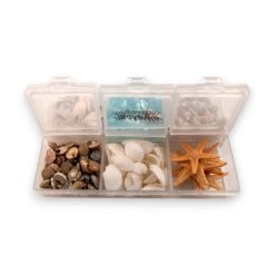 Seashell Variety Pack -Tools Wood Shop mini shells starfish for crafting