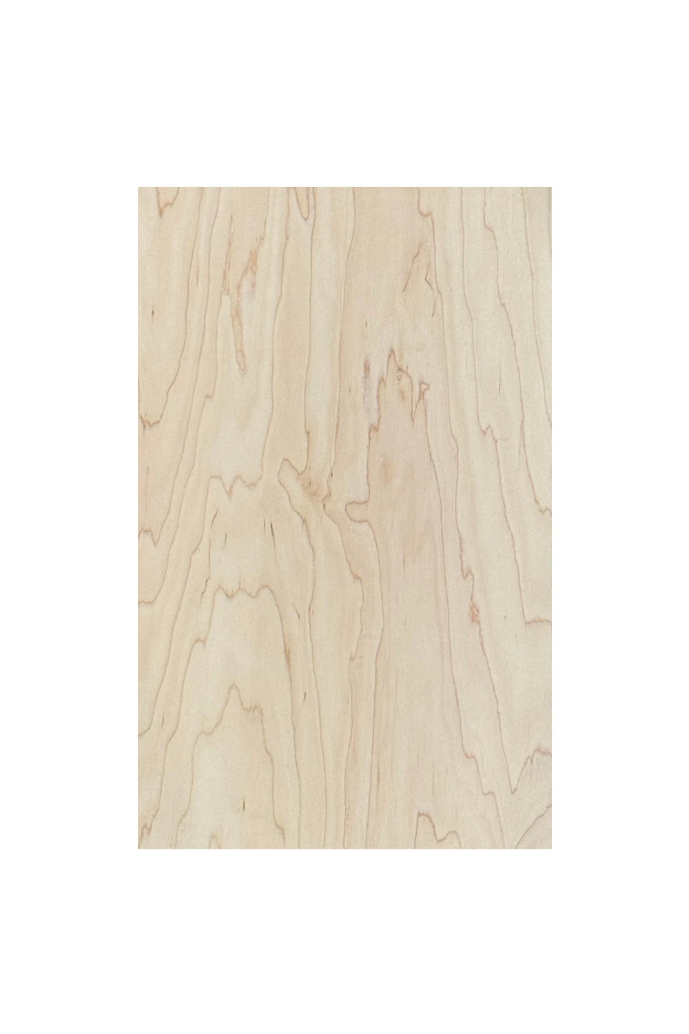 Pre-Finished Maple Craft Plywood 7 Pre-Finished Maple Craft Plywood - Image 5